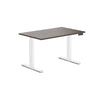 dual melamine height adjustable desk