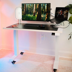 Desky Dual Mini Sit Stand Desk detail view 6