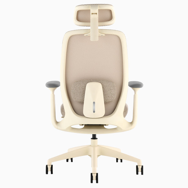 Desky Sereno Ergonomic Office Task Chair detail view 51