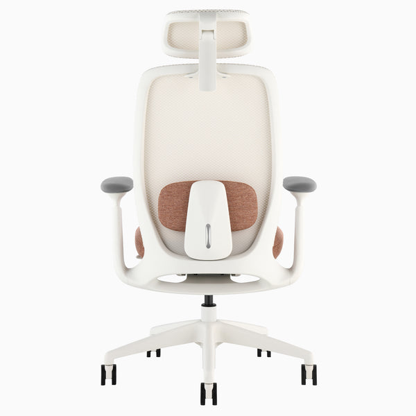 Desky Sereno Ergonomic Office Task Chair detail view 69