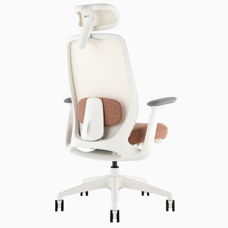 Desky Sereno Ergonomic Office Task Chair