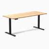 Desky Single Sit Stand Desk image 81