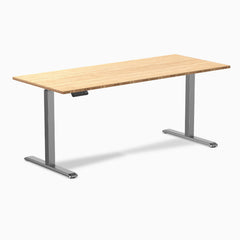 Desky Single Sit Stand Desk, Bamboo desktop, Space Gray frame
