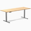 Desky Single Sit Stand Desk image 88