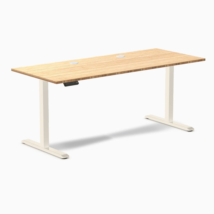 Desky Single Sit Stand Desk