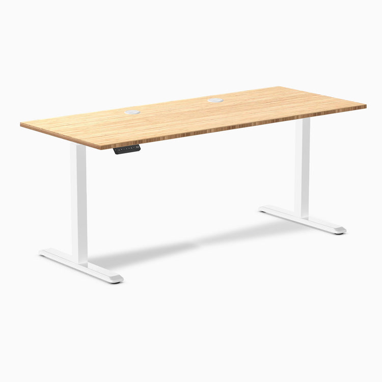 Desky Single Sit Stand Desk
