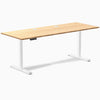 Desky Single Sit Stand Desk image 102