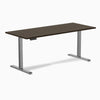 Desky Single Sit Stand Desk image 116