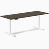 Desky Single Sit Stand Desk image 118