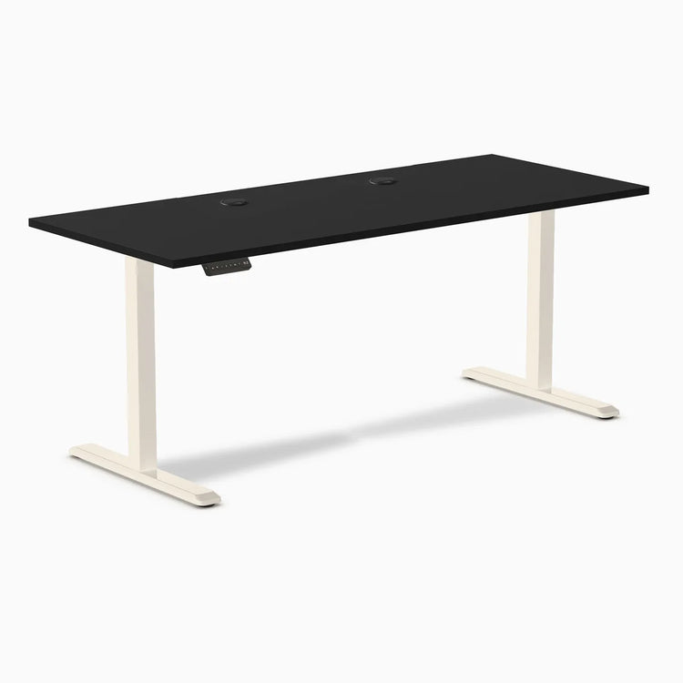 Desky Single Sit Stand Desk
