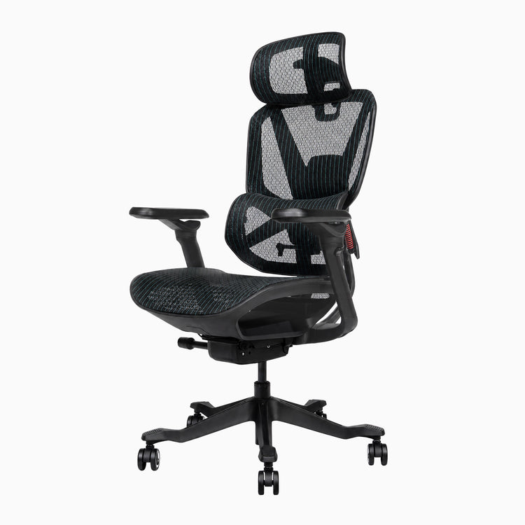 Desky Contourra Ergonomic Mesh Chair