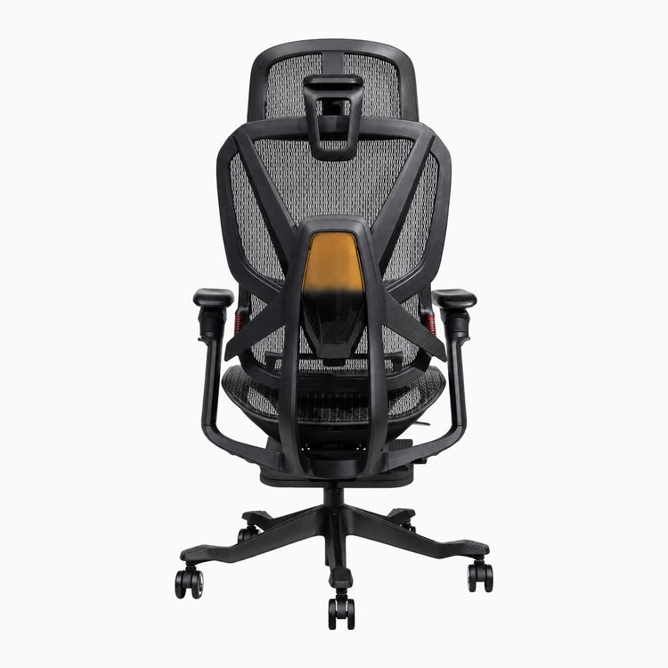 Desky Contourra Ergonomic Mesh Chair