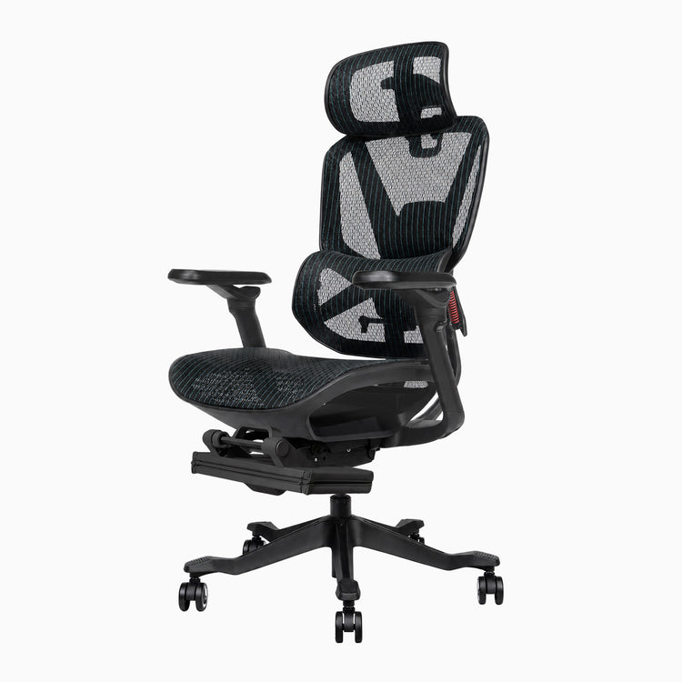 Desky Contourra Ergonomic Mesh Chair