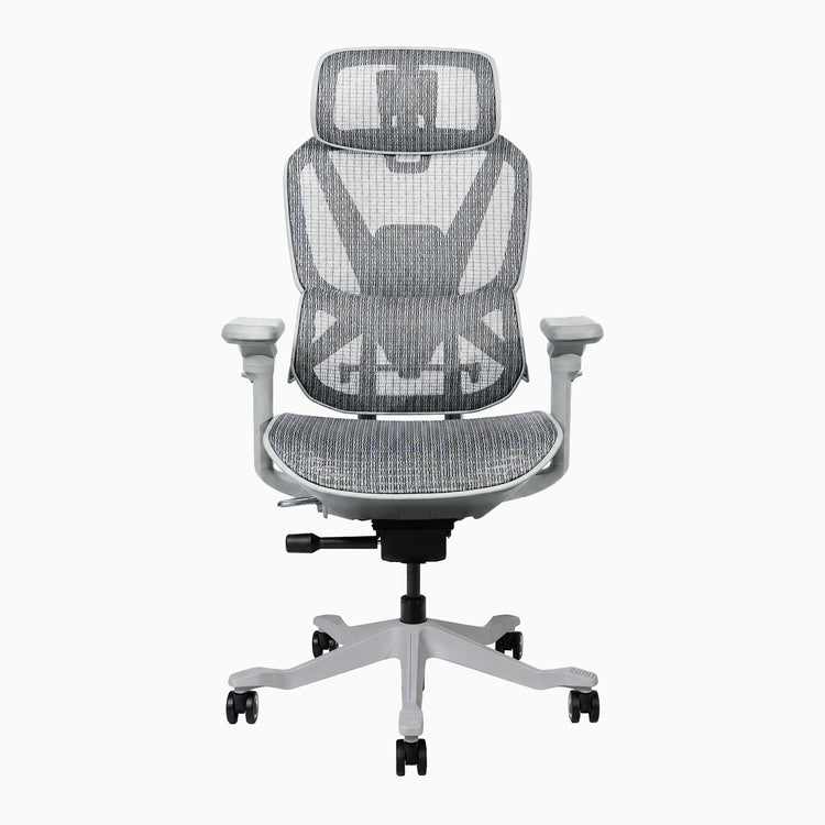 Desky Contourra Ergonomic Mesh Chair
