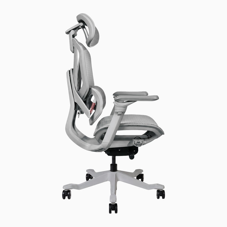 Desky Contourra Ergonomic Mesh Chair