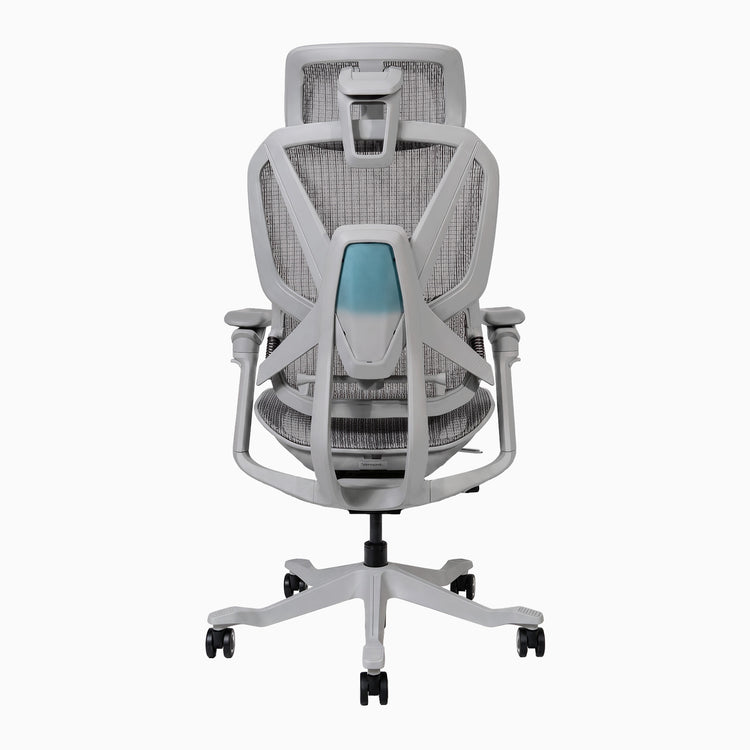 Desky Contourra Ergonomic Mesh Chair