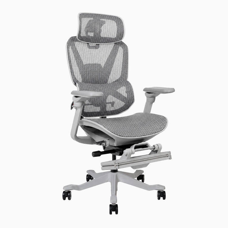 Desky Contourra Ergonomic Mesh Chair