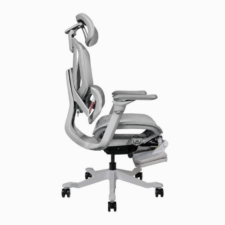 Desky Contourra Ergonomic Mesh Chair