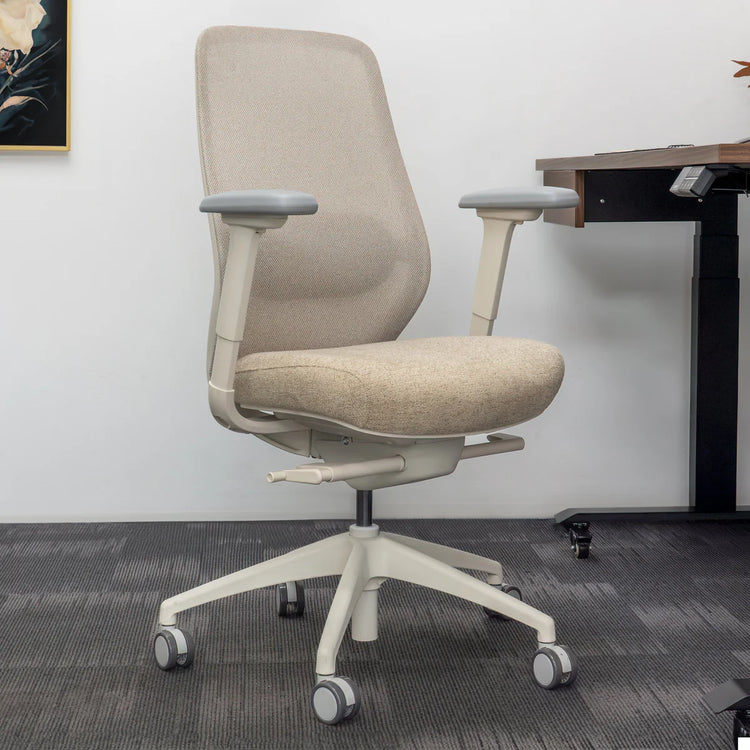 Desky Coilflex Ergonomic Office Chair