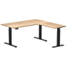 L-Shaped and Corner Desks