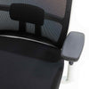 Desky ergonomic mesh chair with adjustable arms