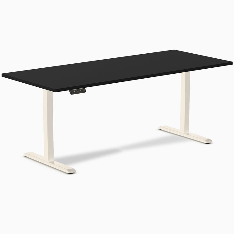 Desky Single Sit Stand Desk