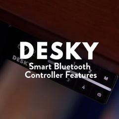 Desky Dual Hardwood Sit Stand Desk image 3