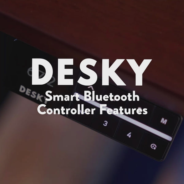 Desky Dual Laminate Sit Stand Desk image 3