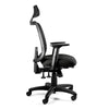Desky Ace Ergonomic Chair No Headrest - Desky