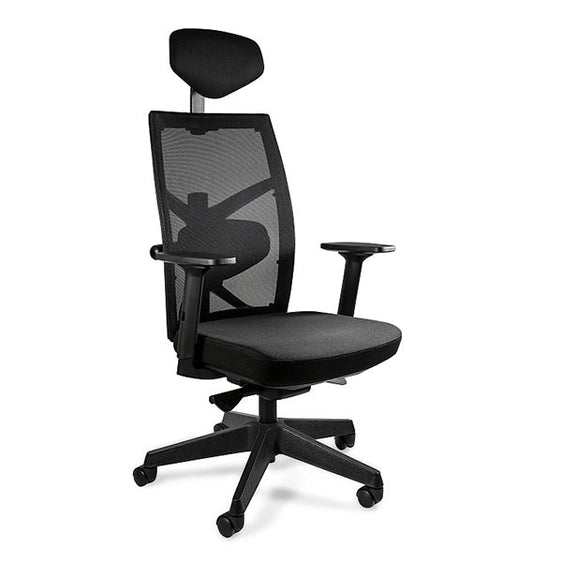 7 Best Ergonomic Office Chairs For Back Pain - Desky USA