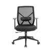 Desky Low Back Mesh Office Chair- - Desky Canada
