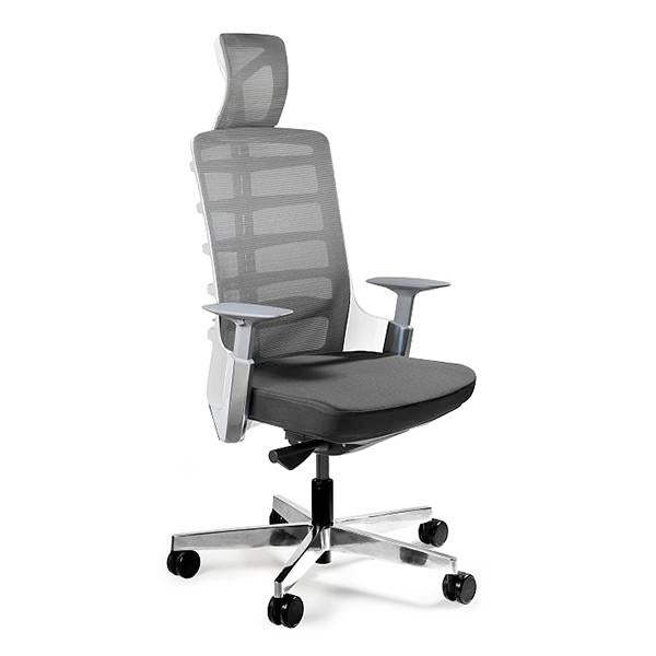pro ergonomic chair 